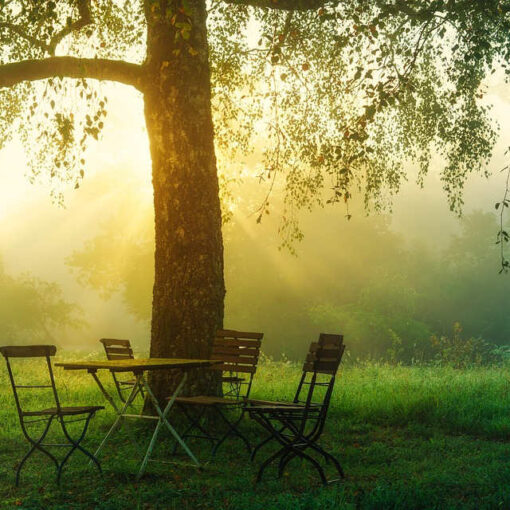 Sunrise