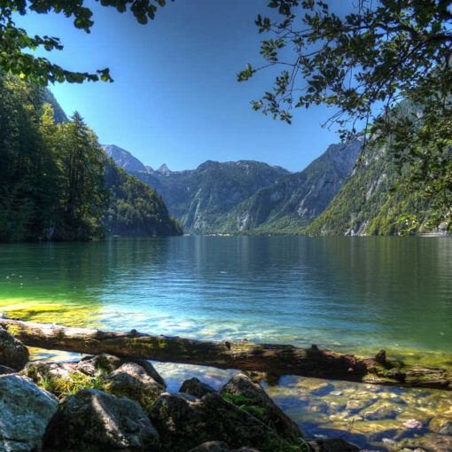 Landschaft