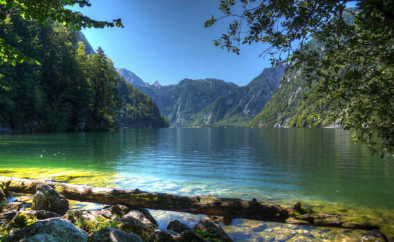Landschaft
