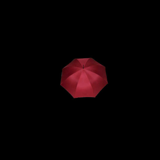Red Flag