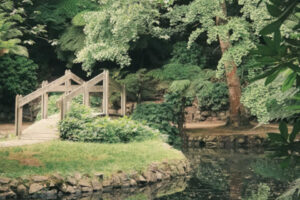 „Ein Tag Menschsein — Erinnerung an Sorge, Verantwortung und das, was uns menschlich macht. 🌿⚖️🪨“