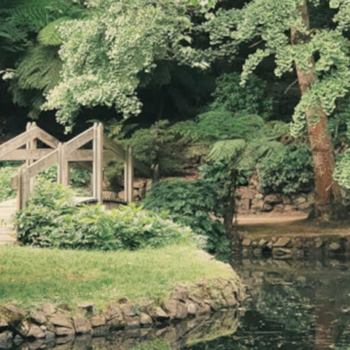 „Ein Tag Menschsein — Erinnerung an Sorge, Verantwortung und das, was uns menschlich macht. 🌿⚖️🪨“