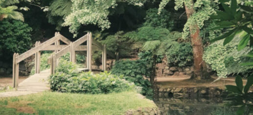 „Ein Tag Menschsein — Erinnerung an Sorge, Verantwortung und das, was uns menschlich macht. 🌿⚖️🪨“