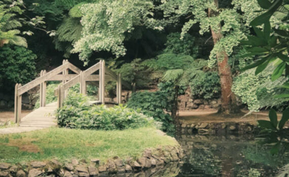 „Ein Tag Menschsein — Erinnerung an Sorge, Verantwortung und das, was uns menschlich macht. 🌿⚖️🪨“