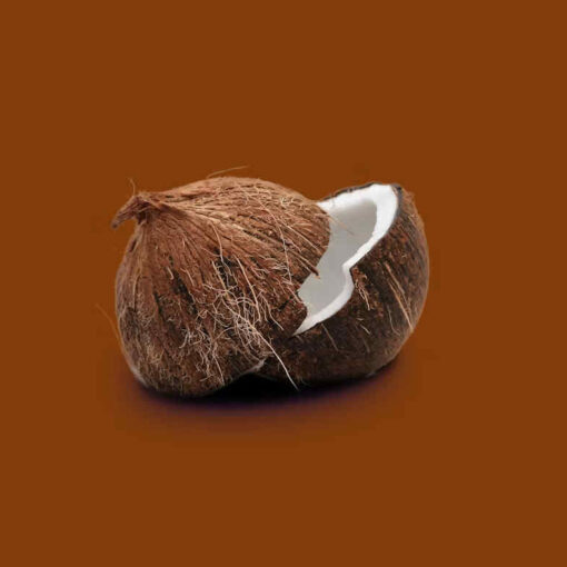 Kokosnuss