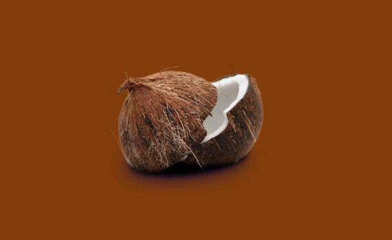 Kokosnuss