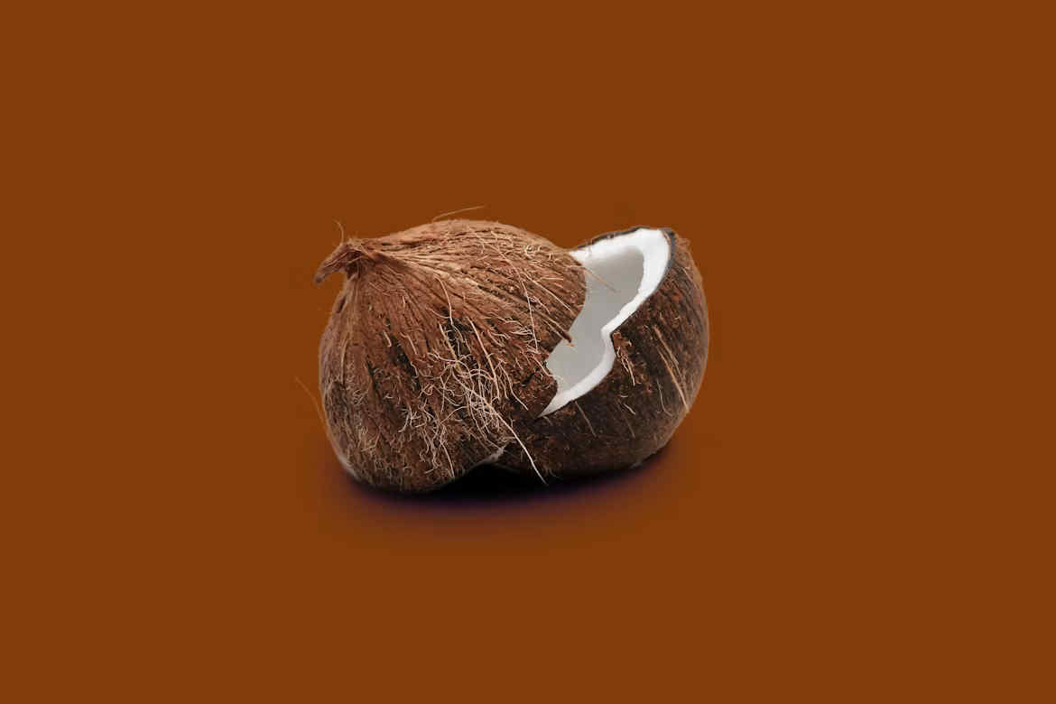 Kokosnuss
